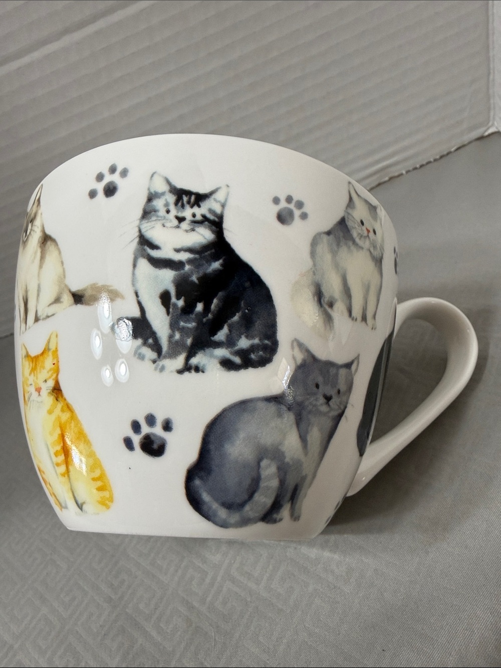 Portobello by Design Cat Mug Ceramic Inside Says My Best Friend Has Four Paws
